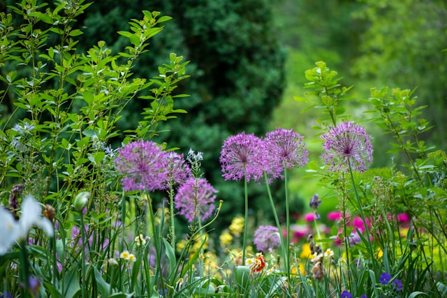 L’œil du paysagiste : Jouer avec les hauteurs pour un jardin plus dynamique